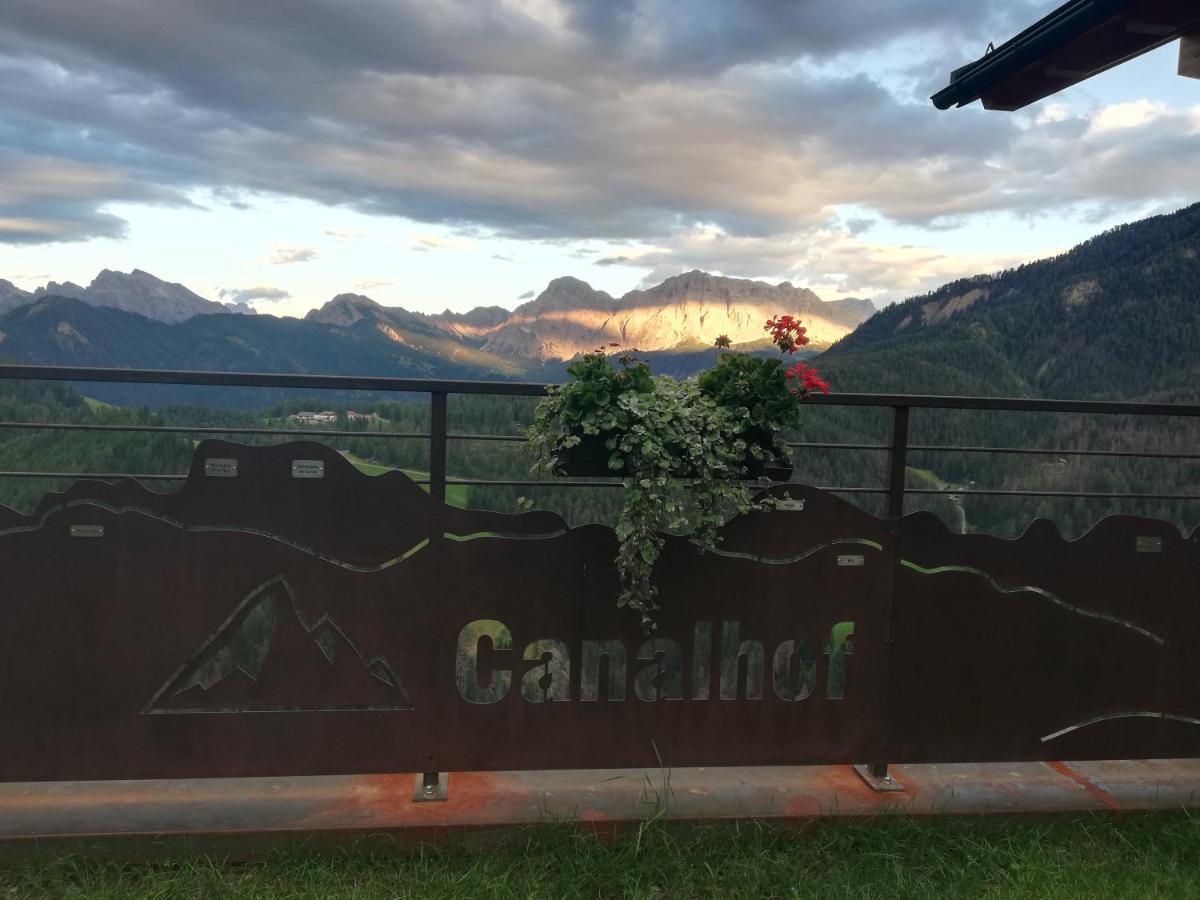 Canalhof أنتيروميا المظهر الخارجي الصورة